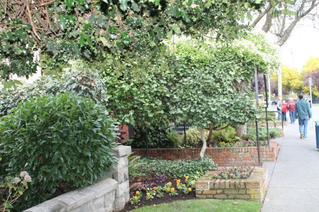 A group of people are walking down a sidewalk in a park.