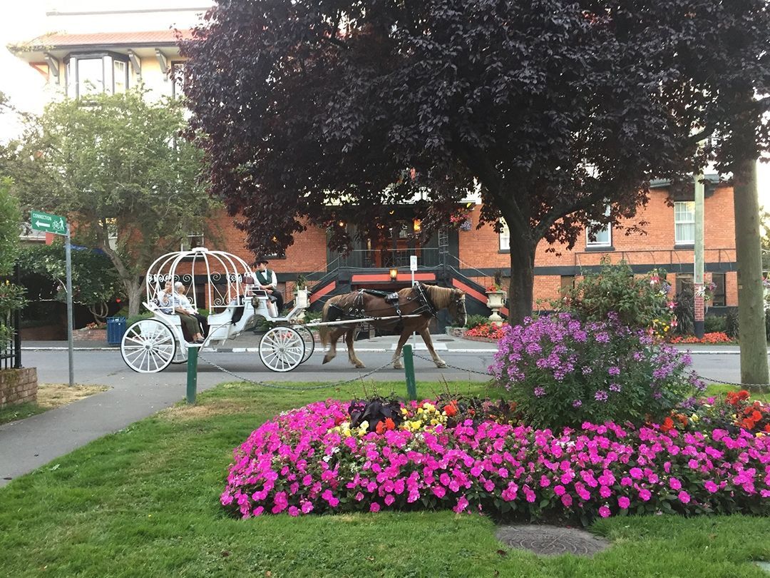 A horse drawn carriage is parked in front of a building.