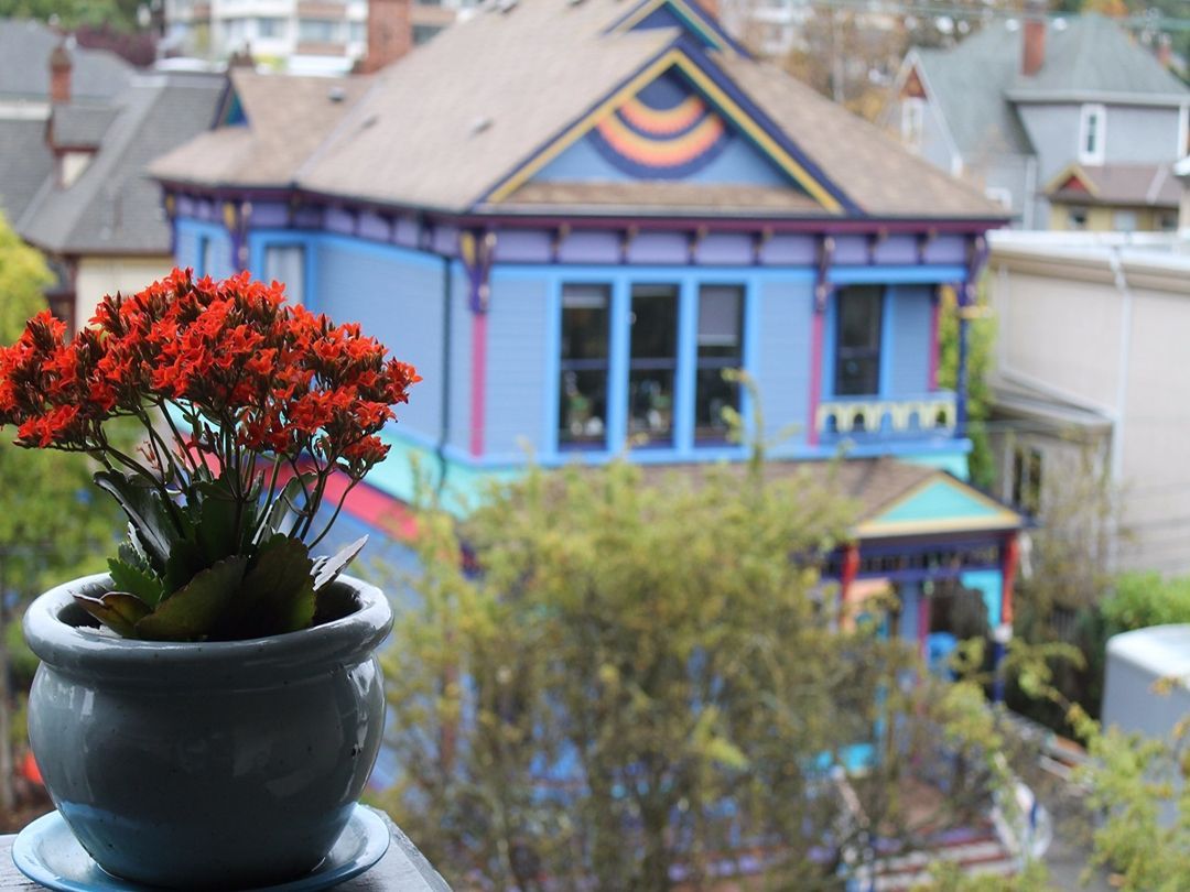 A blue house with red flowers in front of it