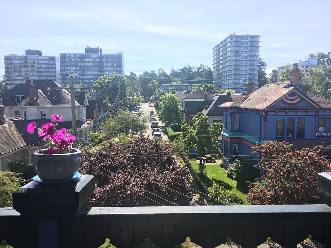 A view of a city from a balcony with a potted plant in the foreground.