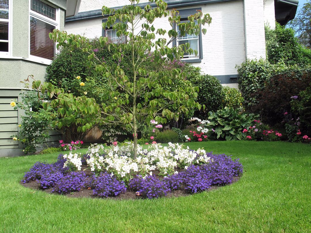 A garden with purple and white flowers in front of a house