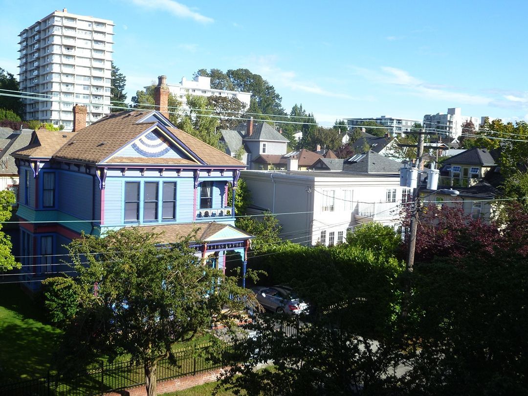 A blue house sits in the middle of a residential area