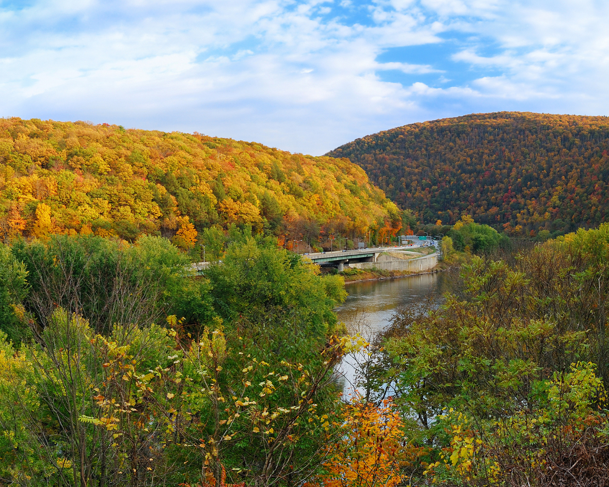 A river runs through a lush green forest with mountains in the background.