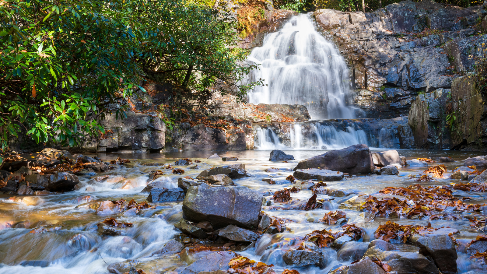 A waterfall is surrounded by rocks and trees in the middle of a forest.