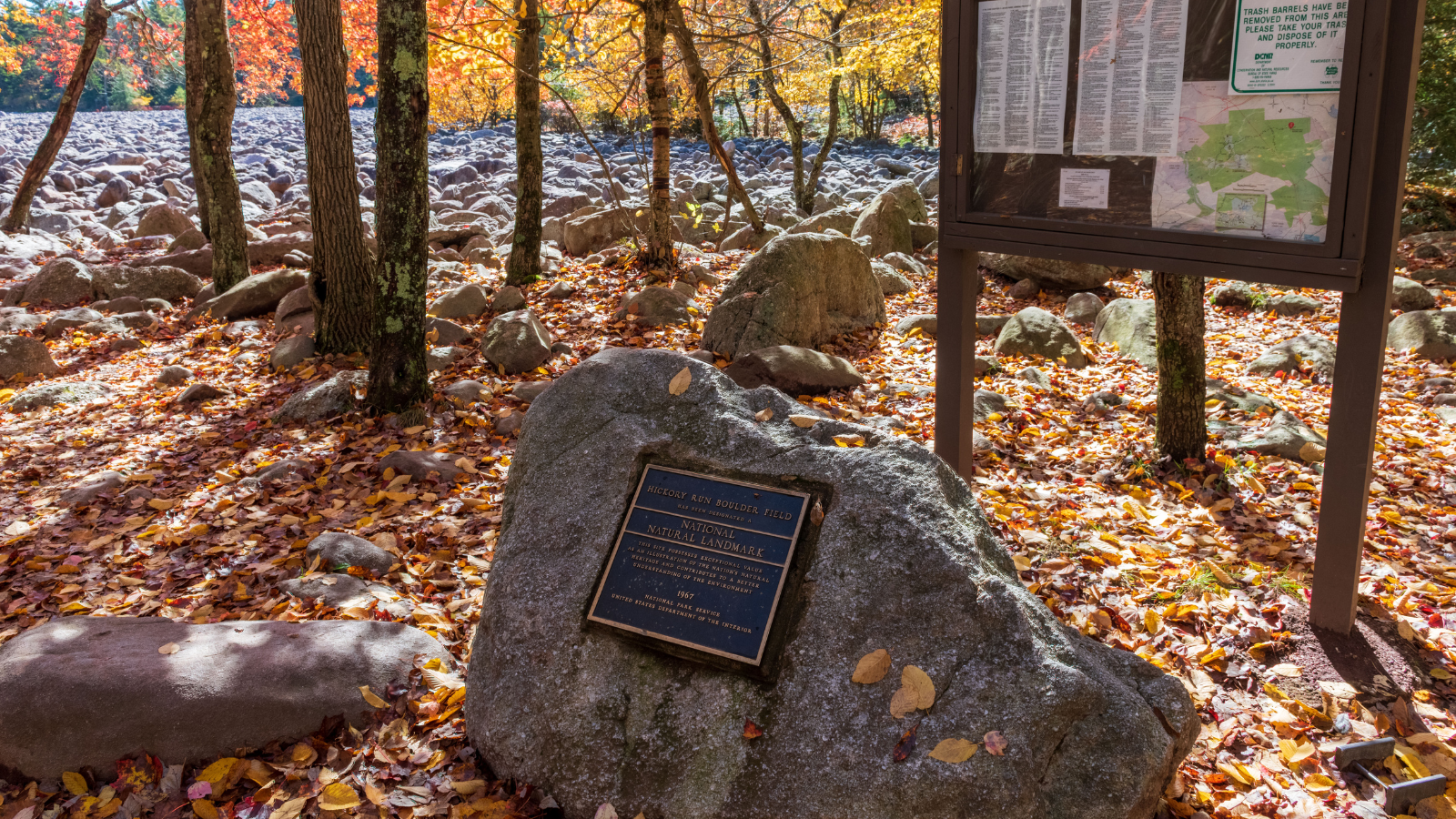 A large rock with a plaque on it is in the middle of a forest.