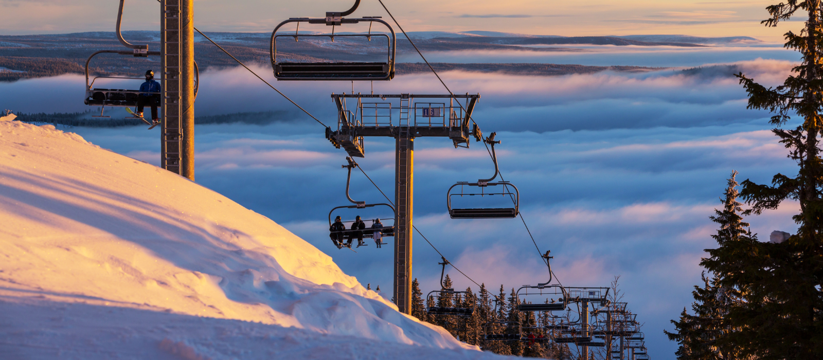 Ski Jump in the mountains with pine trees on the side