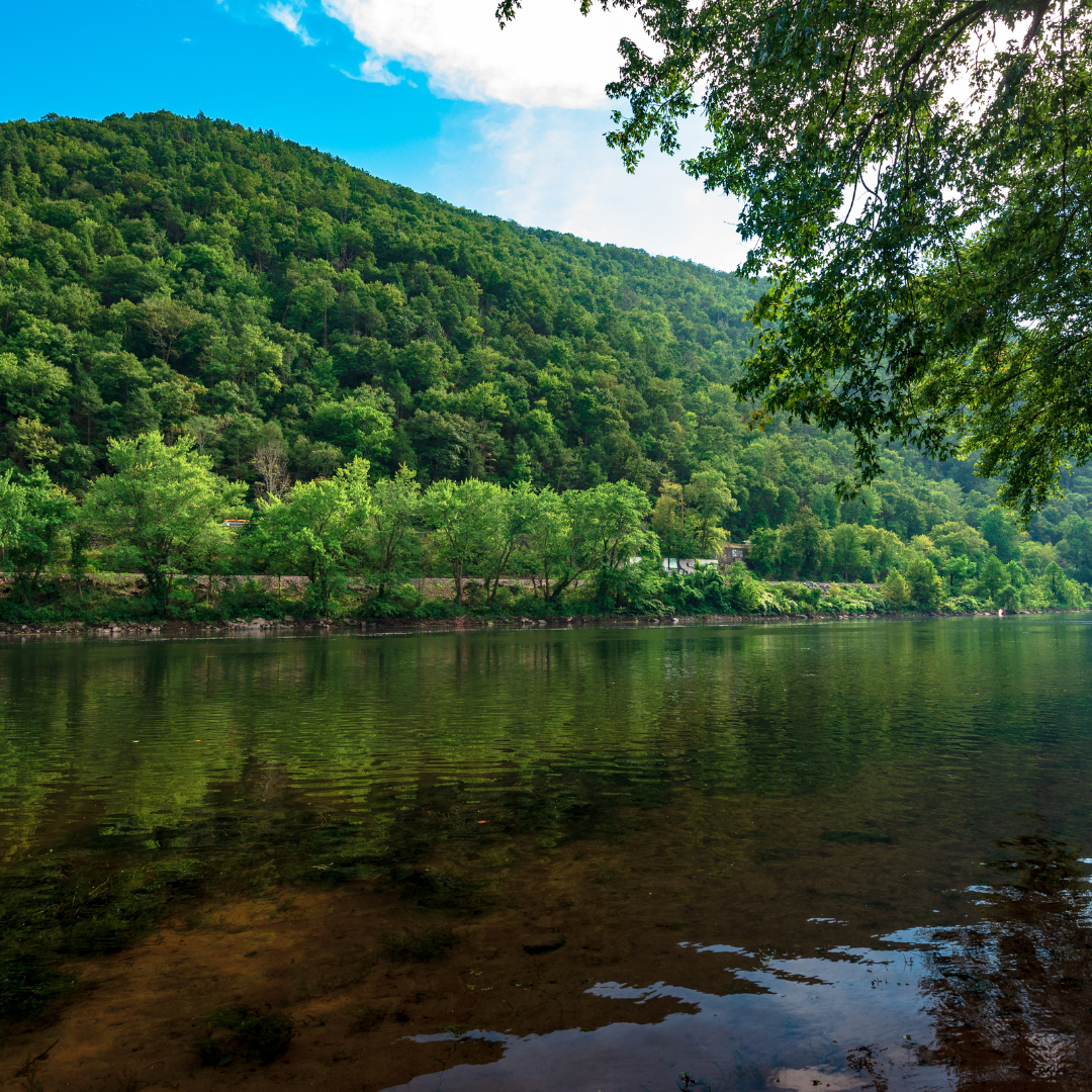 Pocono Brewery Company, pizza oven, pizza