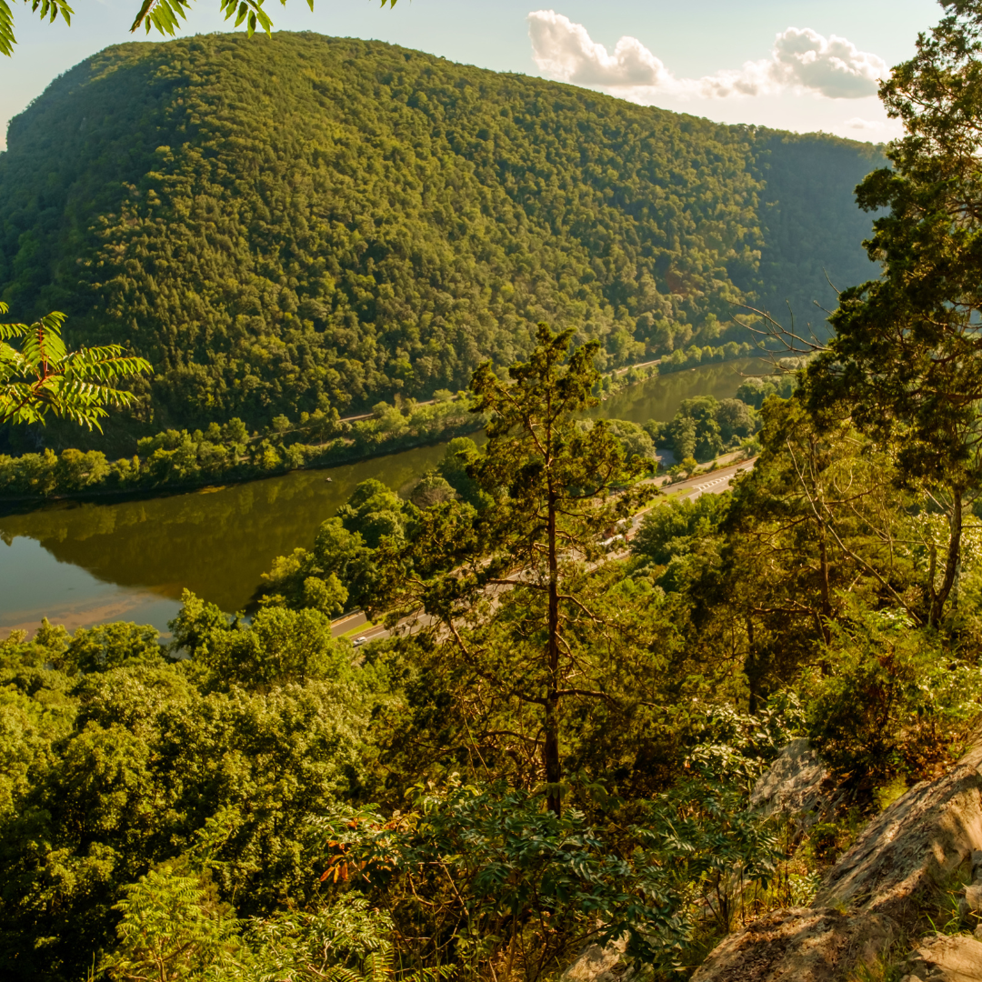 Pocono Brewery Company, pizza, beer