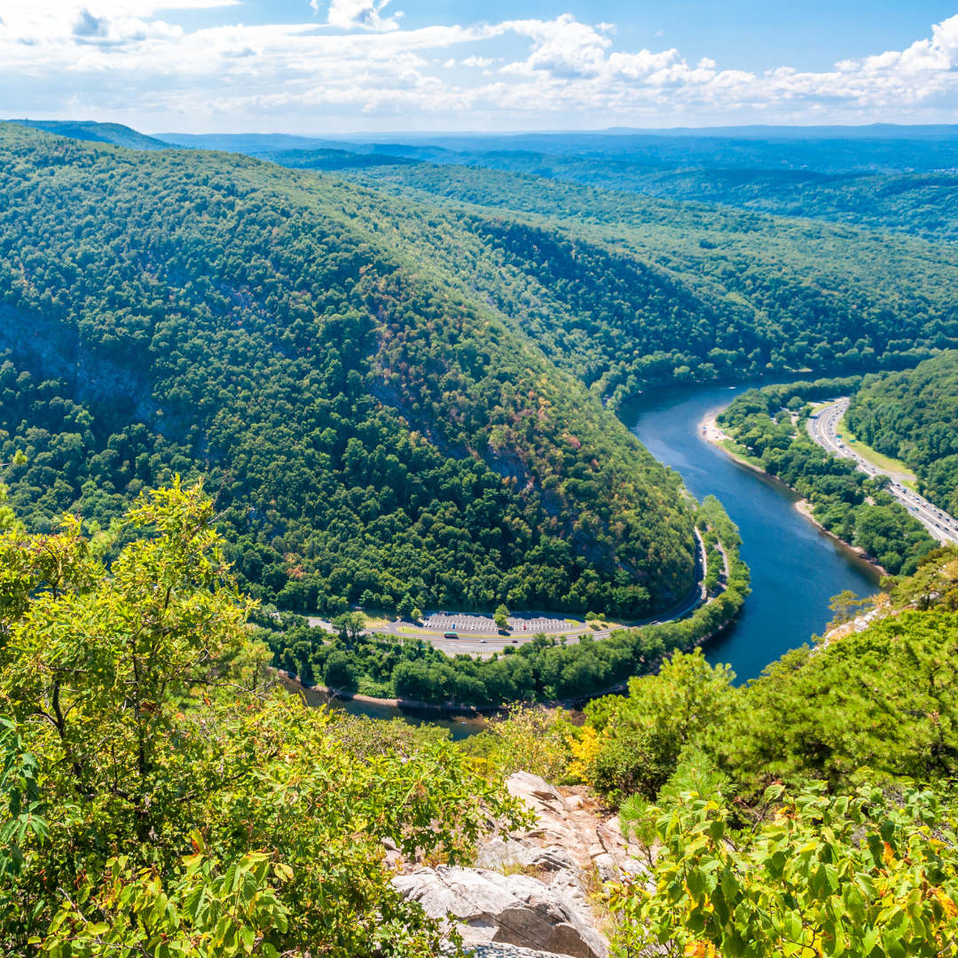 Pocono Brewery Company, pizza