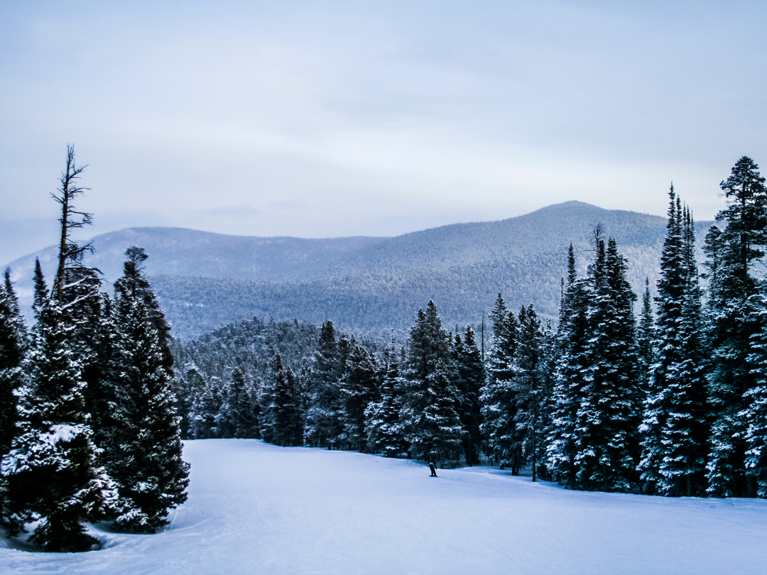 Pocono Brewery Company, pizza, beer