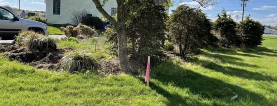 Trees And Grass — Andover, MA — Alvarez Landscaping