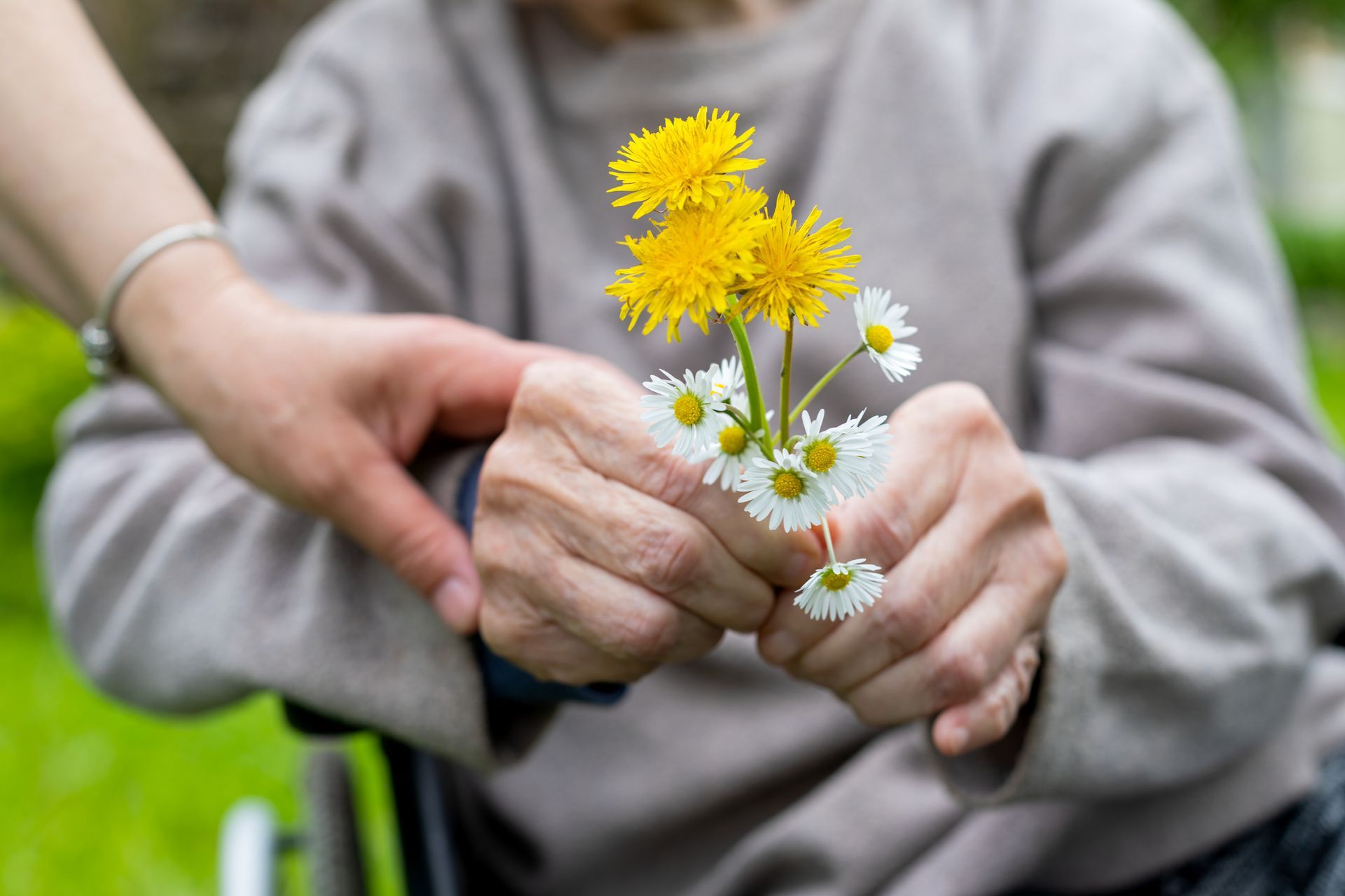 A person is giving flowers to an elderly woman in a wheelchair.