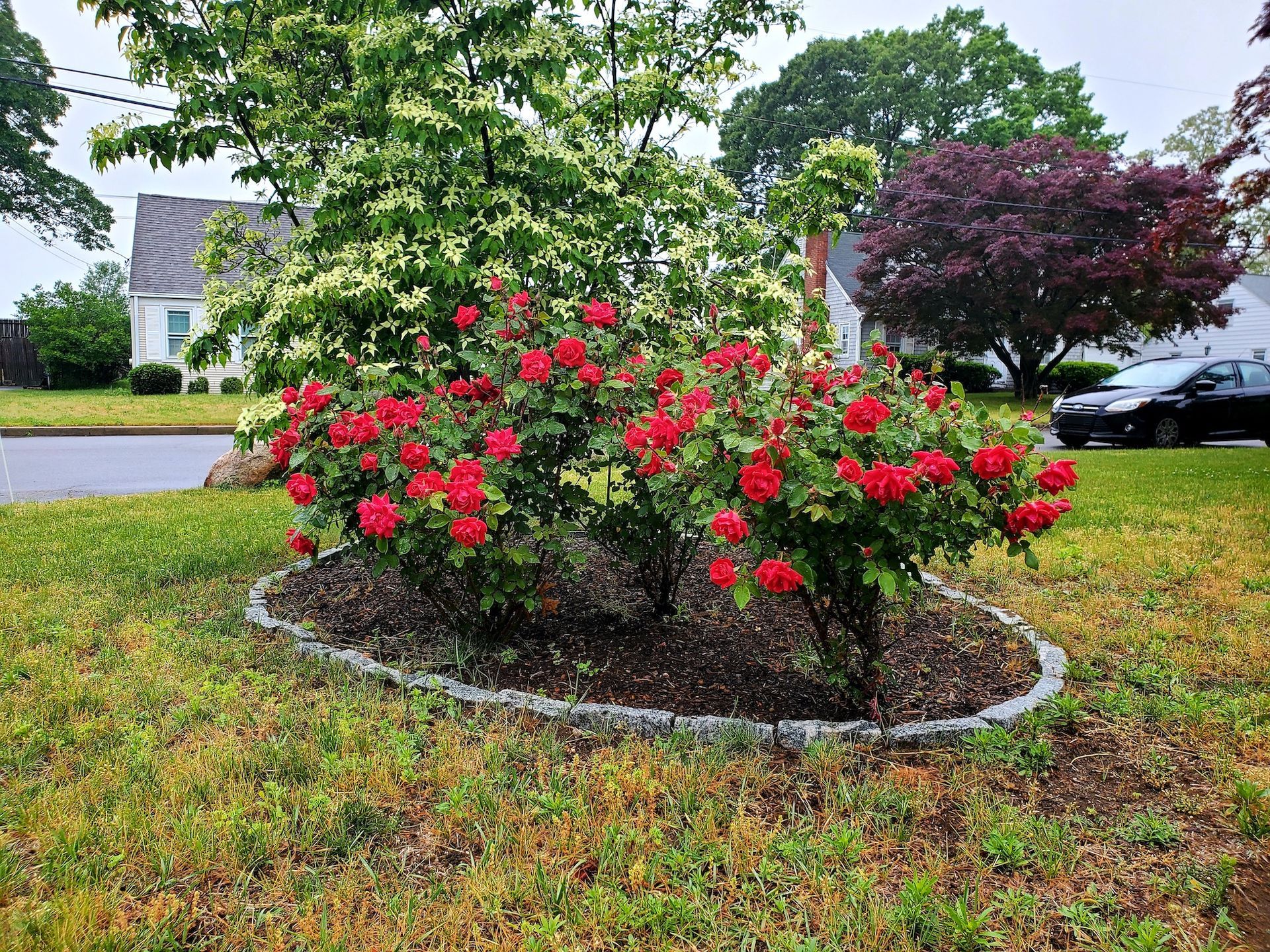 Landscape Maintenance