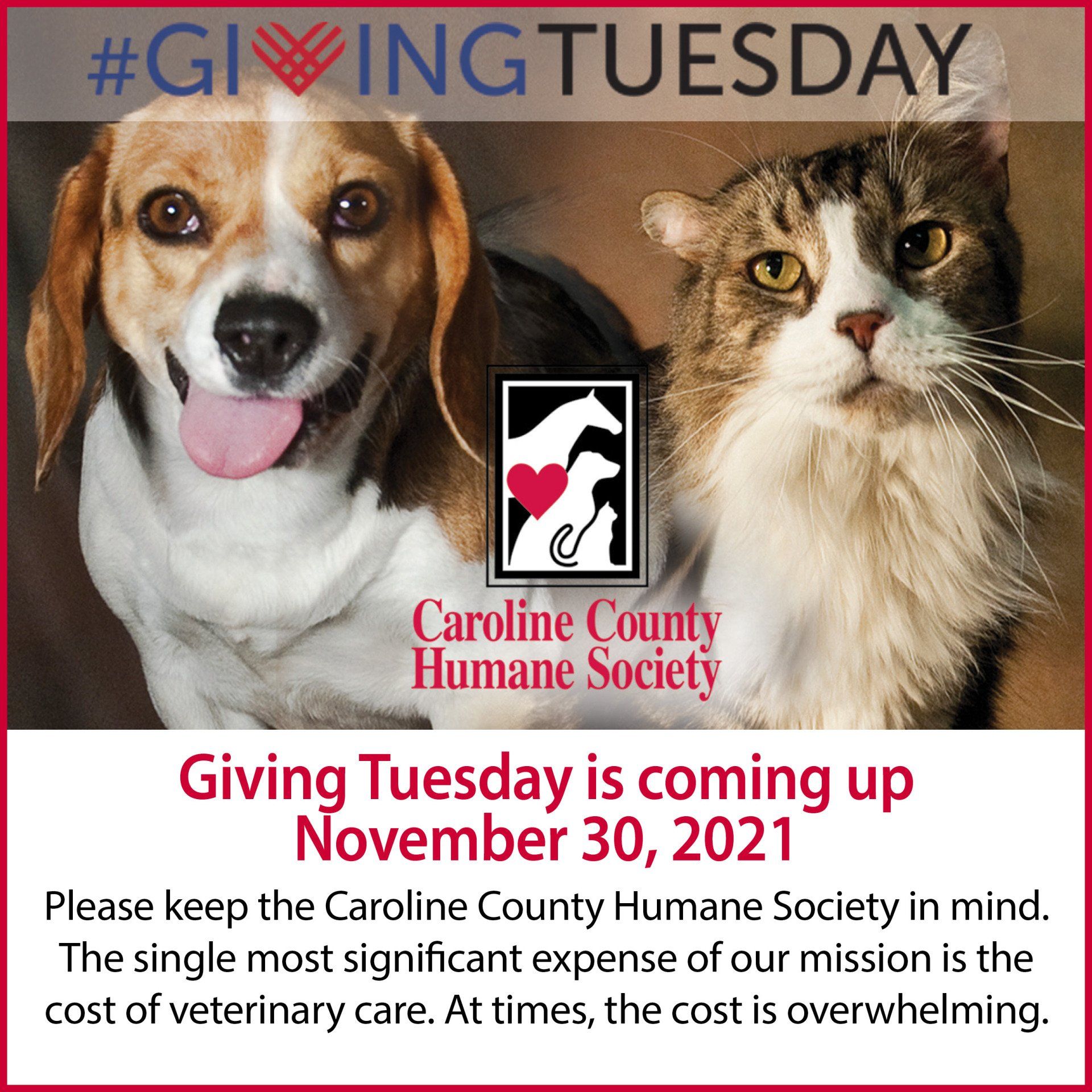 Giving Tuesday