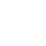 Icona - Professionalità