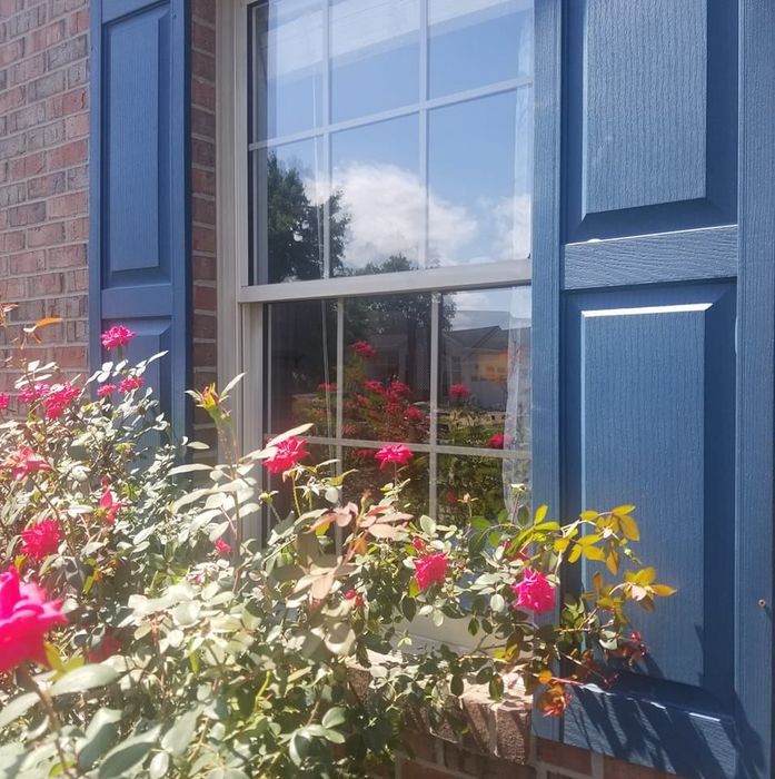 A window with blue shutters and flowers in front of it