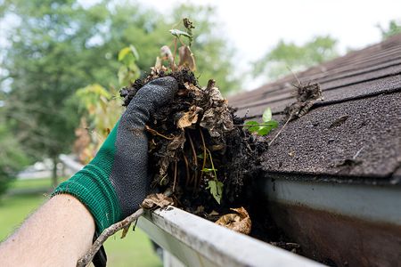 A person is cleaning a gutter from leaves and dirt on a roof.