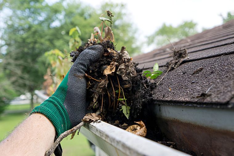 A person is cleaning a gutter from leaves and dirt on a roof.