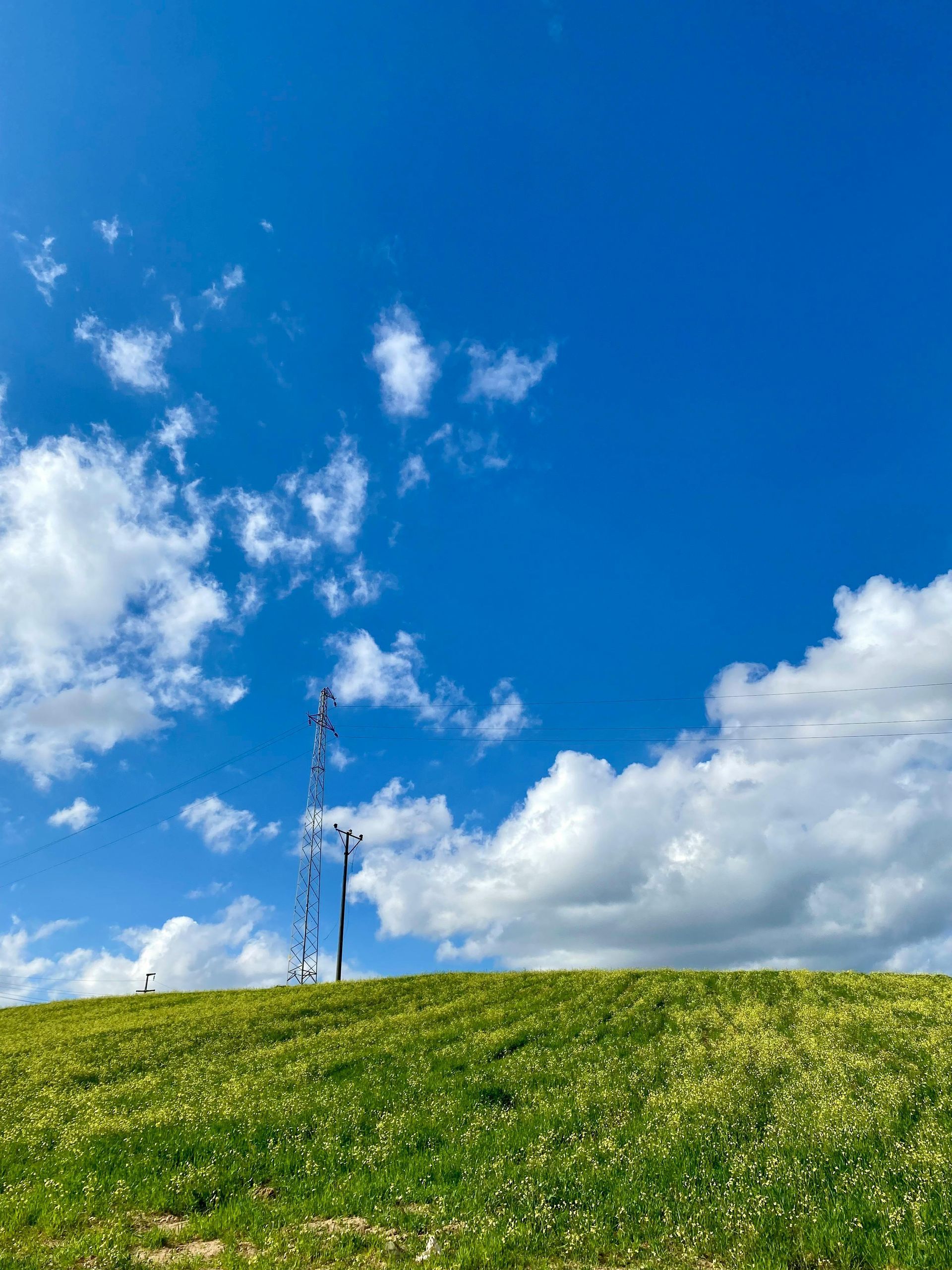Uma árvore no topo de uma colina gramada com um céu azul e nuvens ao fundo.