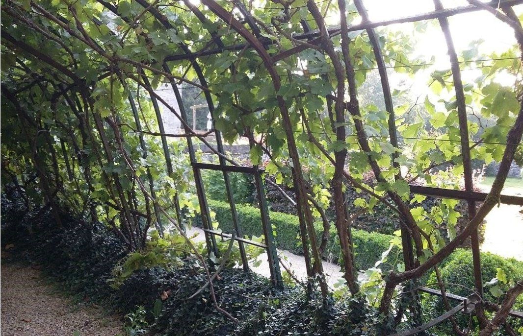 BIORGANIC traiteur événementiel gastronomique 100% Bio à Yvoir, Ferme Château du Buc a une salle de réception de 50 à 250 personnes et une salle de conférence pour 20 à 80 personnes entièrement équipée