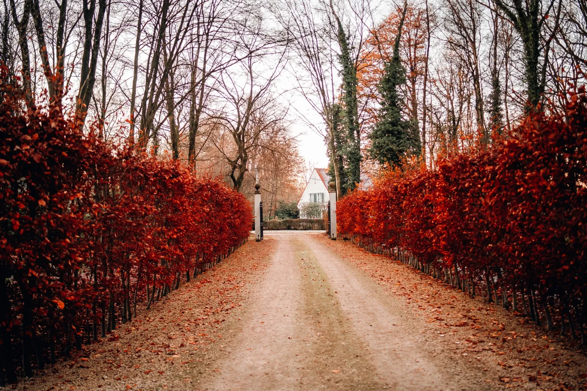 éphémère orangerie - salle à louer dans le hainaut pour gros évènement