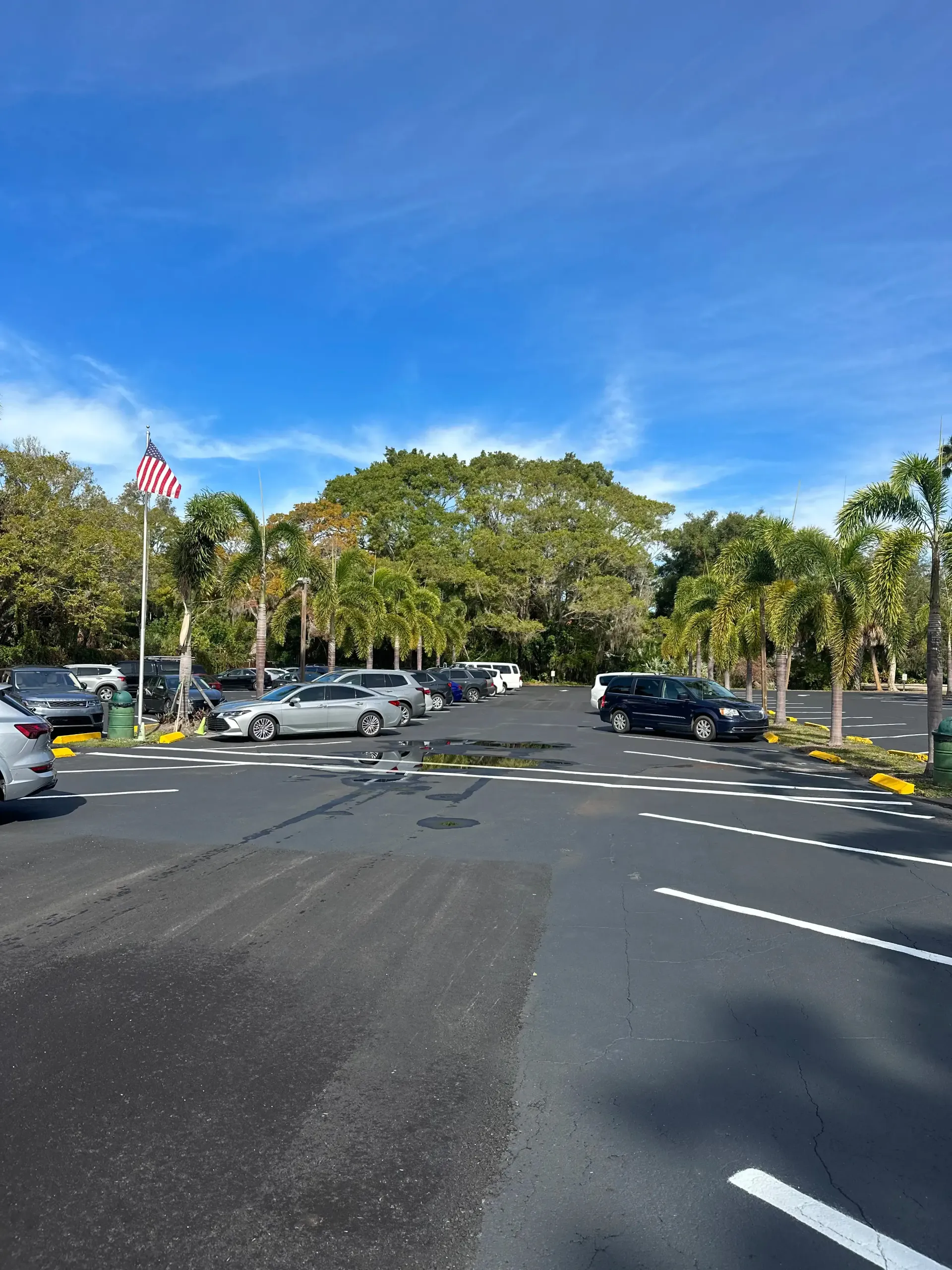 Sarasota Commercial Paving Services 