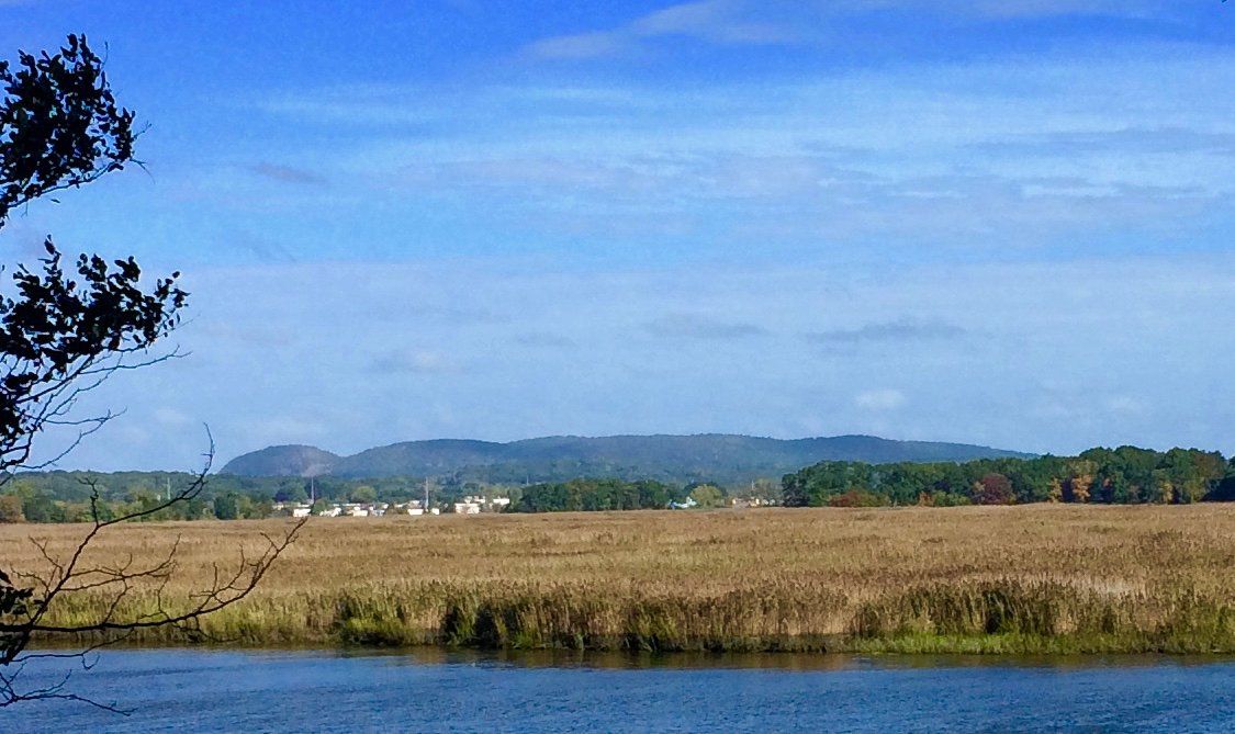 There is a lake in the middle of a field with mountains in the background.