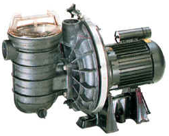 Vacuum Pool — Pool Pumps in Northshore Chicago, IL