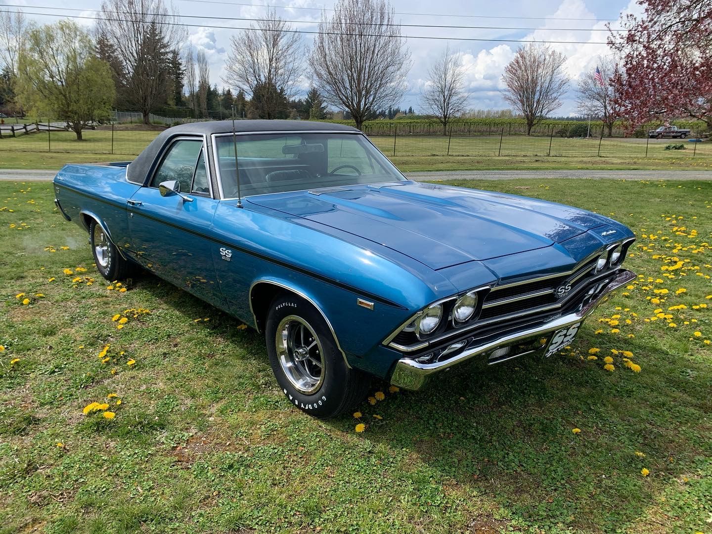 Blue classic convertible car parked on grass in a field with trees and yellow flowers.