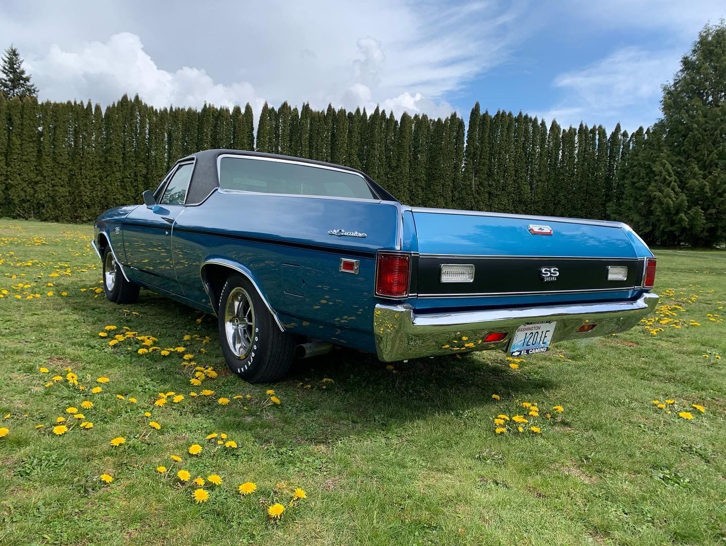 Blue classic convertible parked on grass with yellow flowers and trees in the background