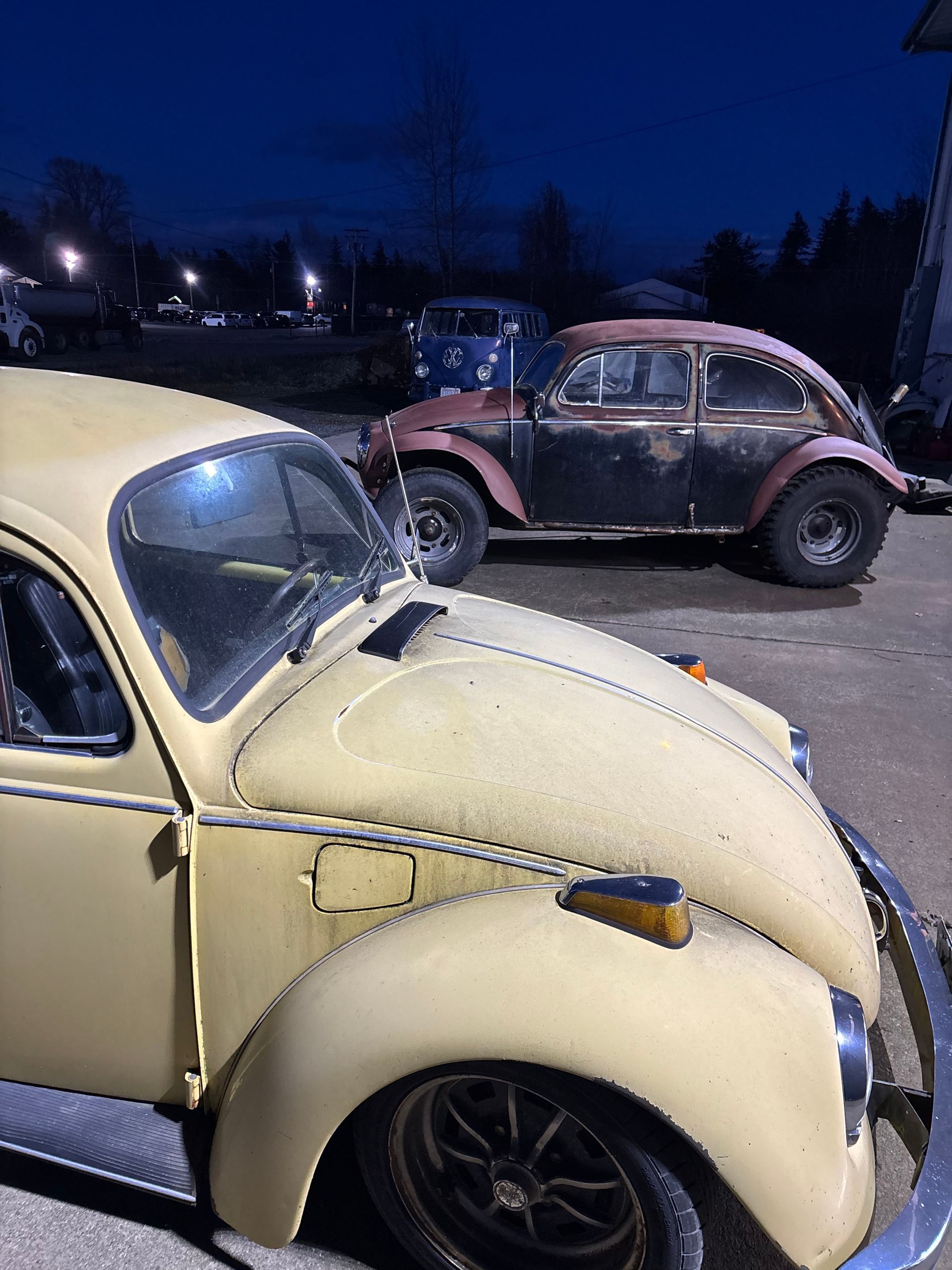 Two vintage Volkswagen Beetles parked at dusk, one cream and one rusty brown, in a snowy lot