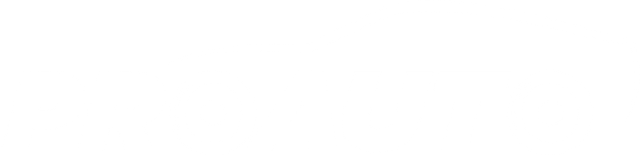 ProAuto Logo Reversed Out