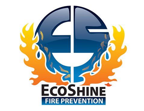 Eco Shine Logo