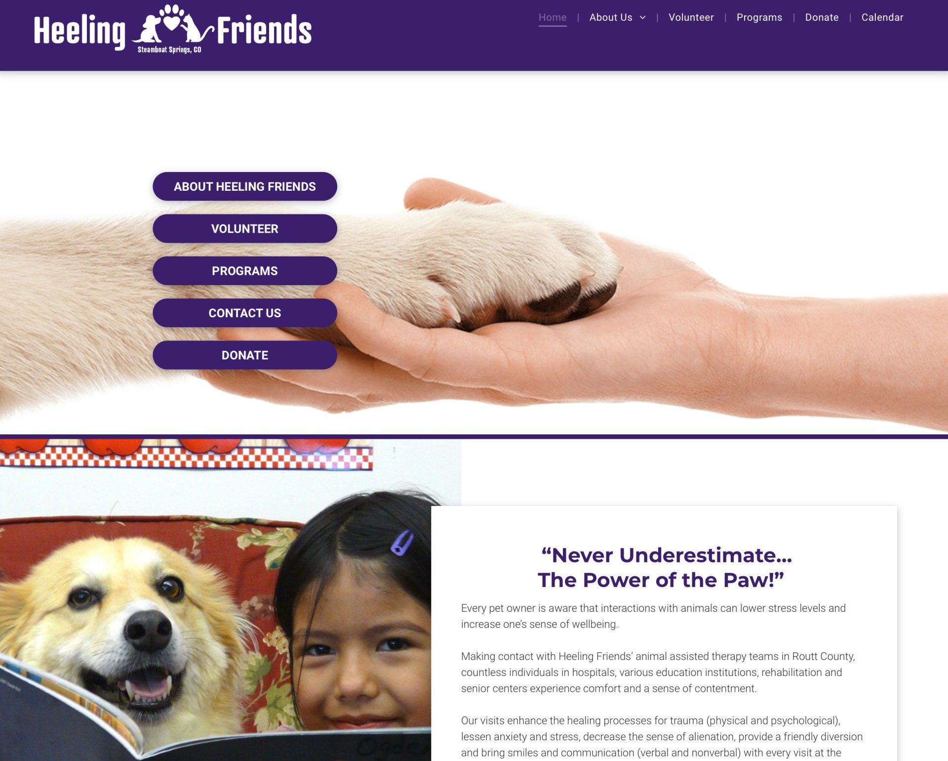 Steamboat Website Design