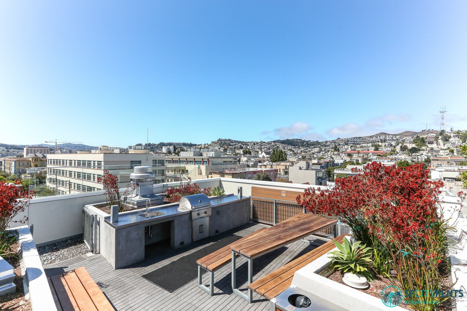 45 Barlette st. Gallery