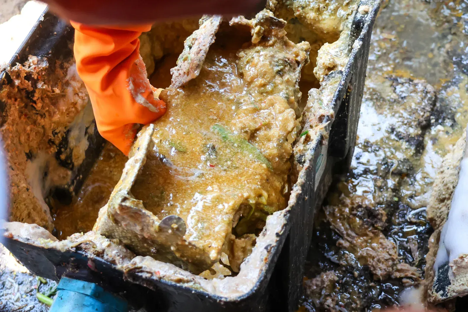 Gloved hand holds mass of brown sludge and debris from inside a rectangular container.