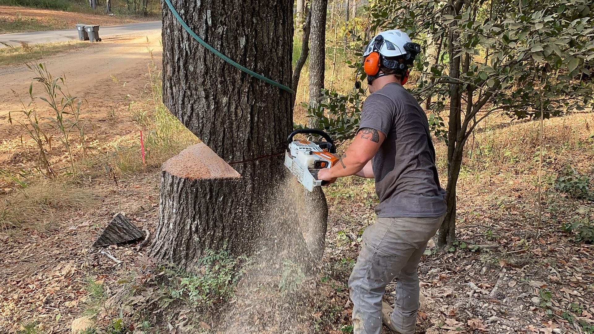 Woman cutting a tree trunk with a chainsaw, wearing safety gear, in a wooded area.