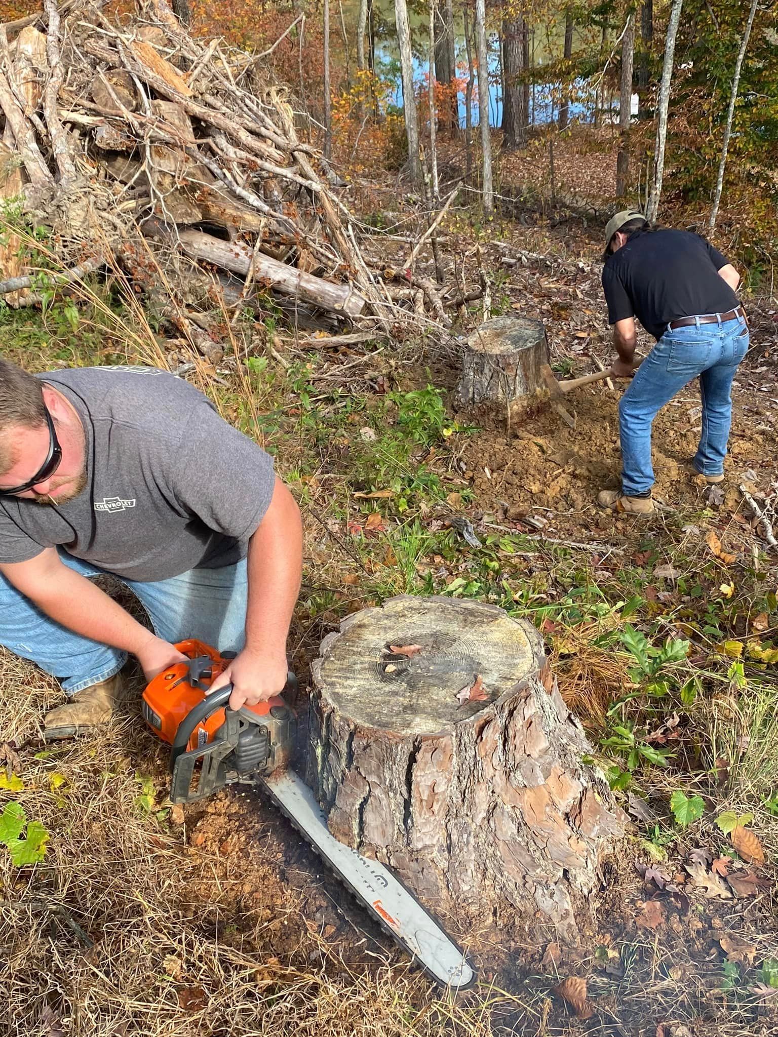 Two men are cutting a tree stump with a chainsaw.