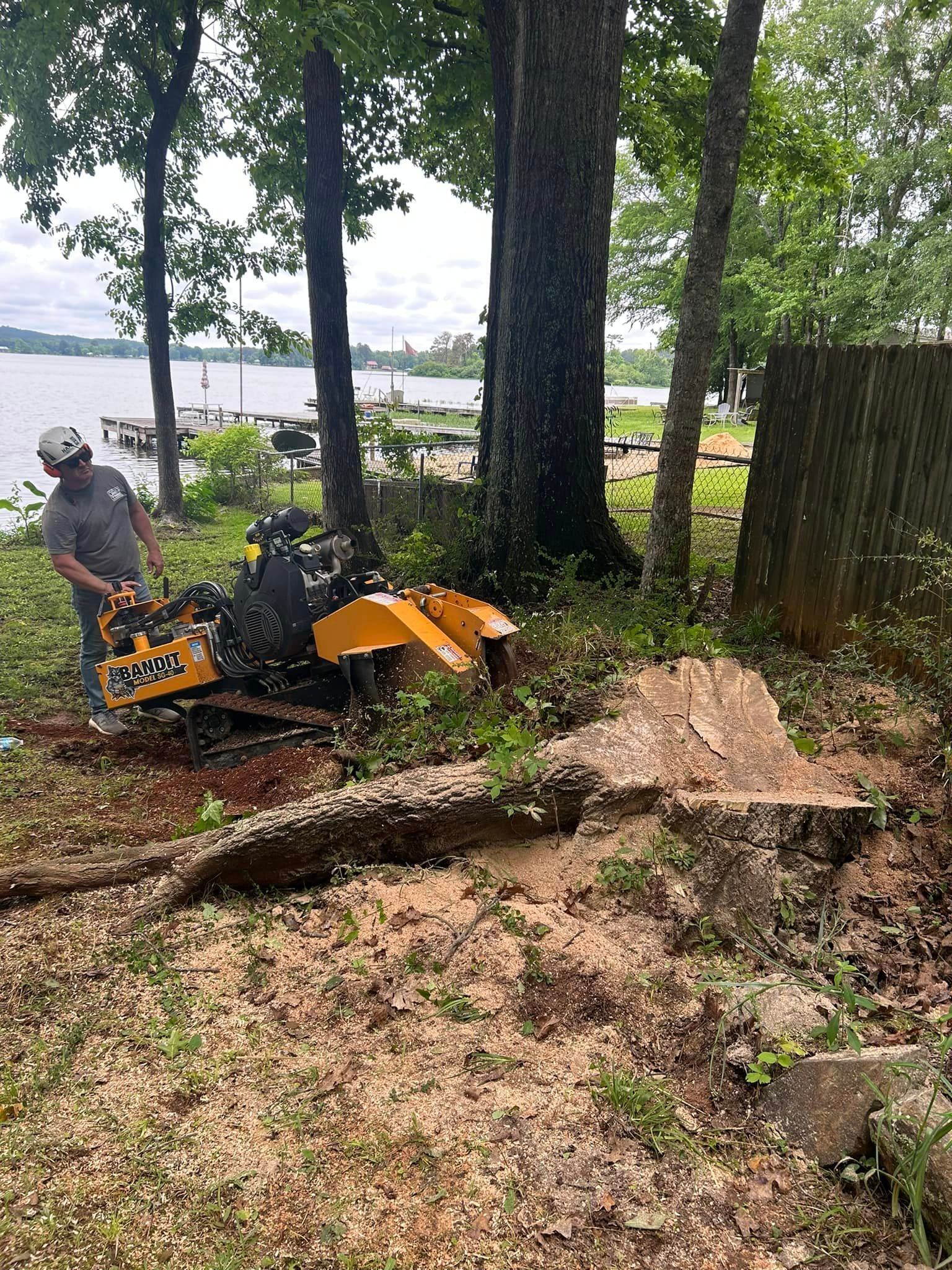A man is using a stump grinder to remove a tree stump.