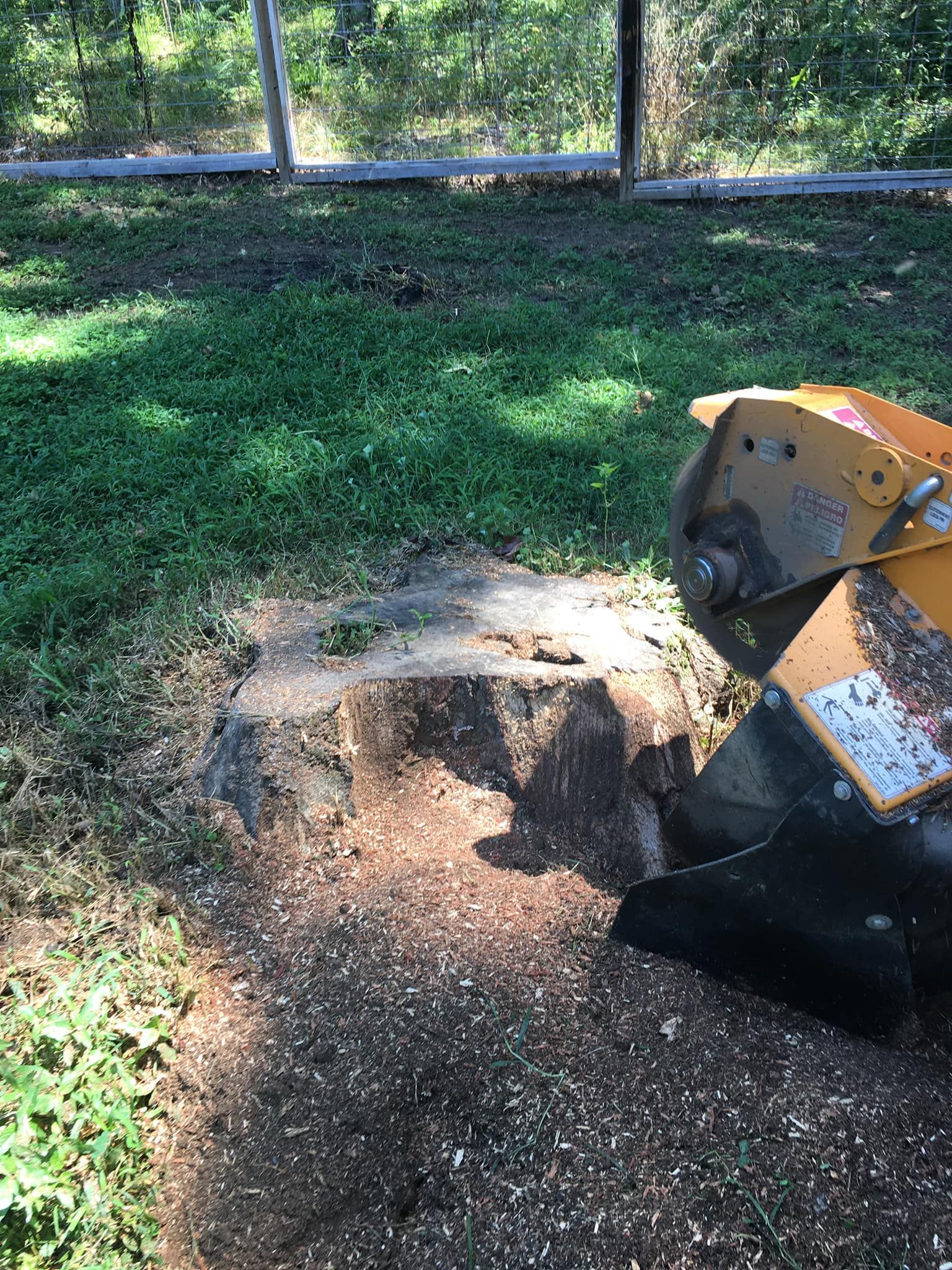 A stump grinder is cutting a tree stump in the grass.