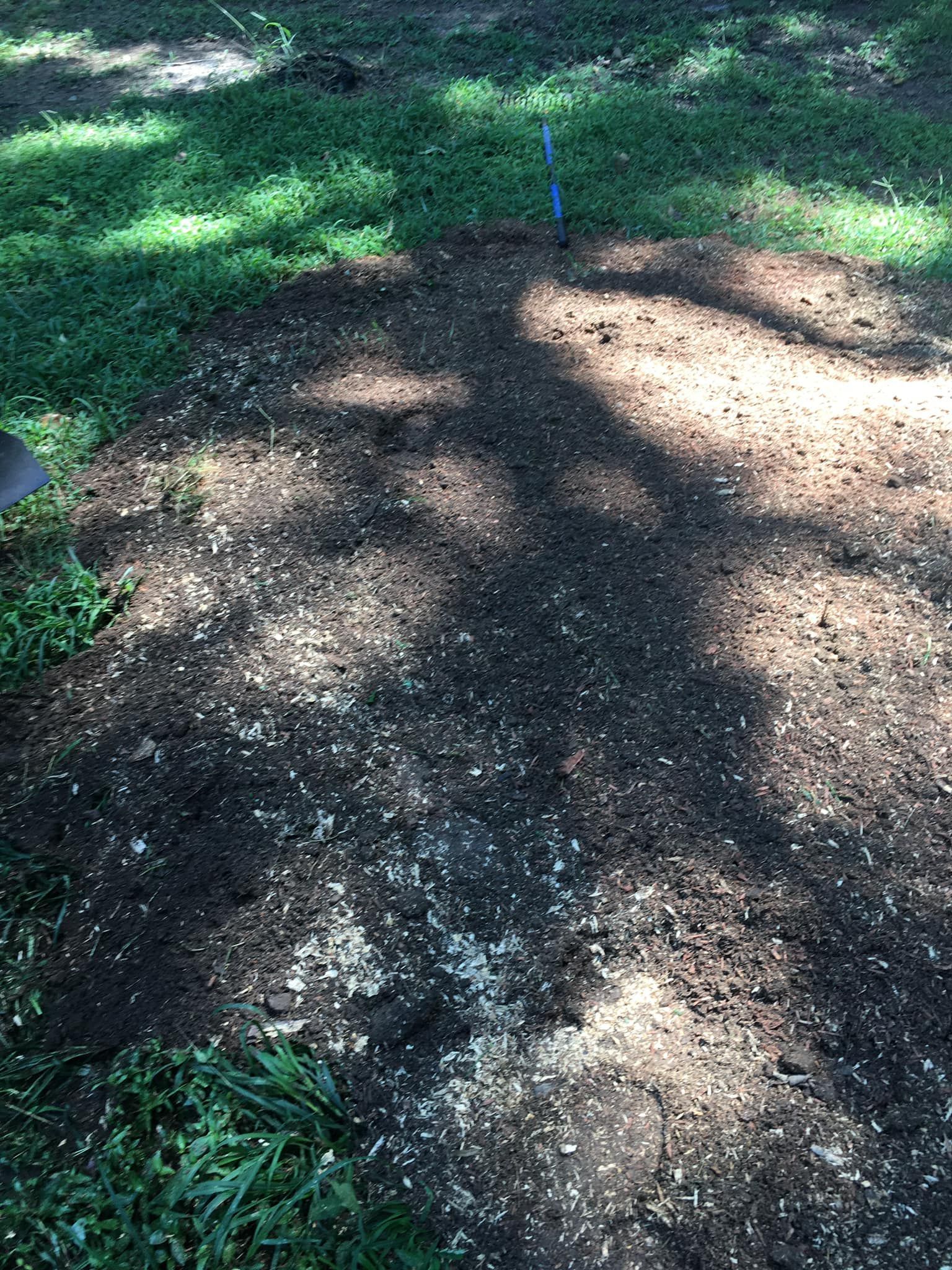 A person is using a shovel to dig a hole in the ground.
