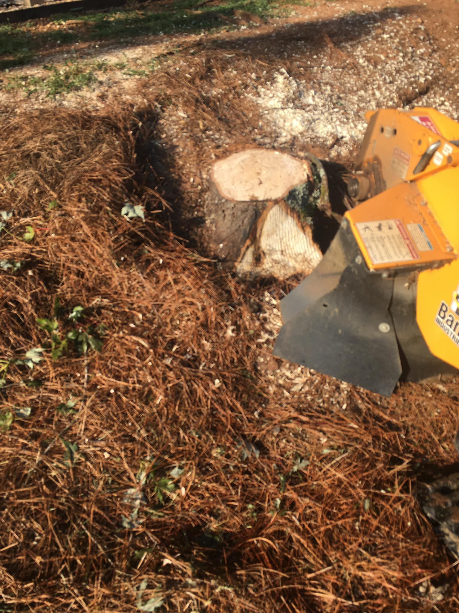 A stump grinder is cutting a tree stump in the ground.