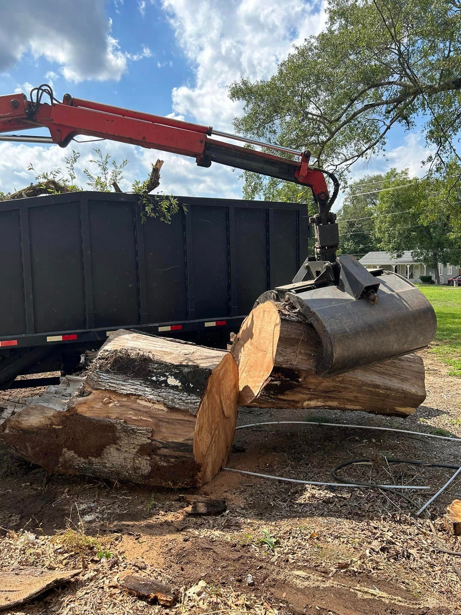A large log is being lifted by a crane into a dumpster.