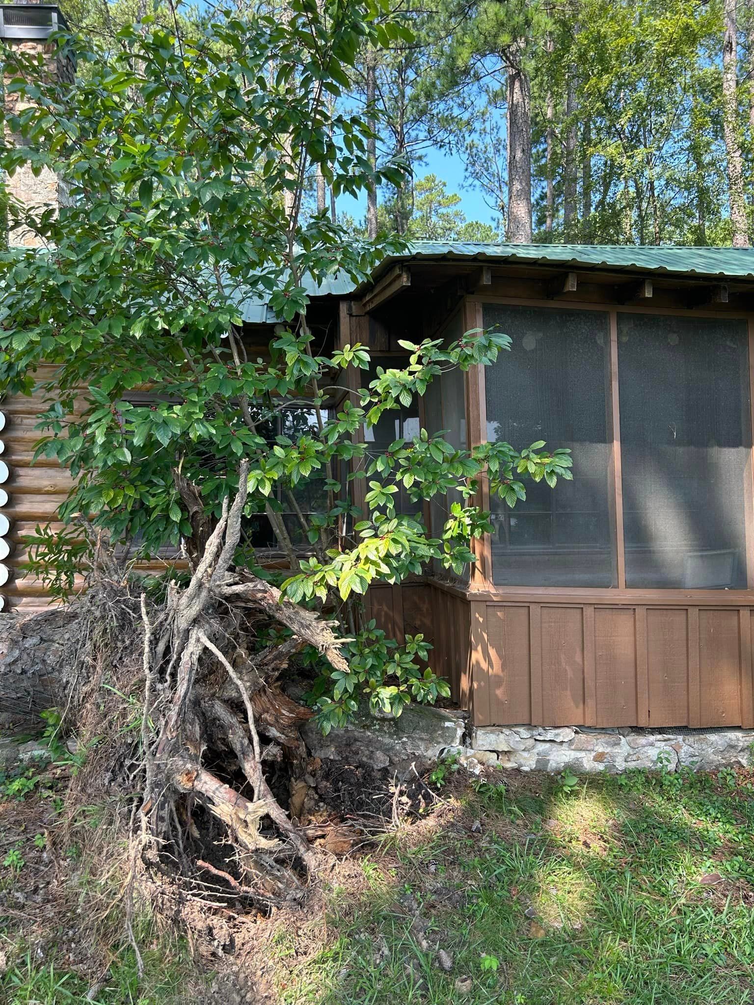 A screened in porch next to a log cabin in the woods.