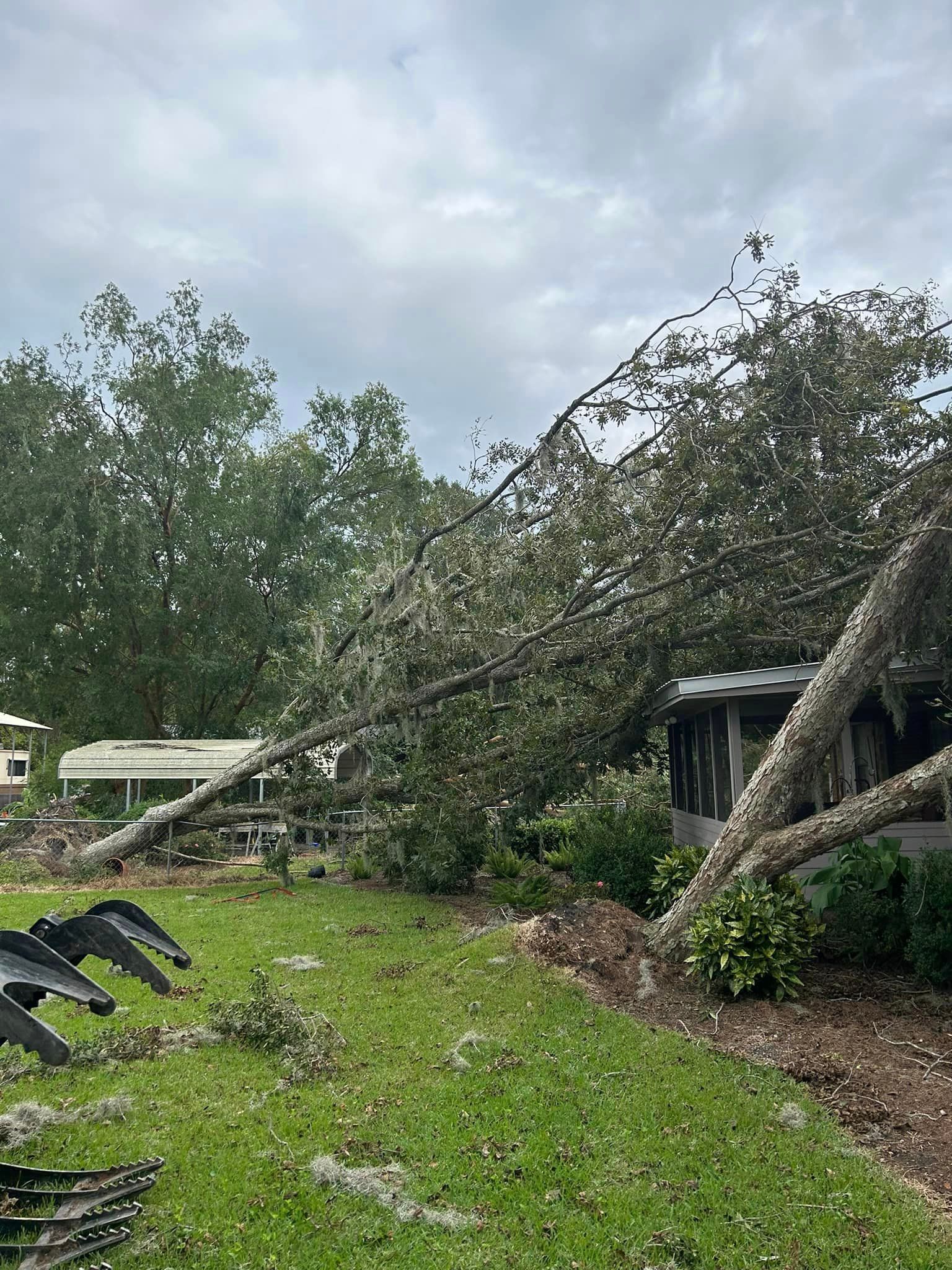 A tree has fallen on a house in a yard.