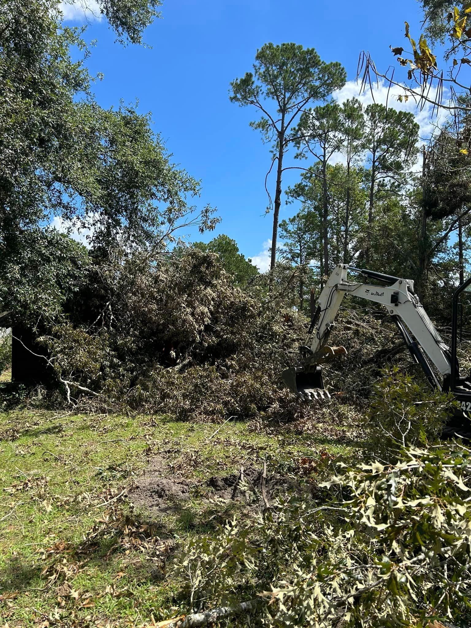 A bulldozer is cutting down trees in a field.