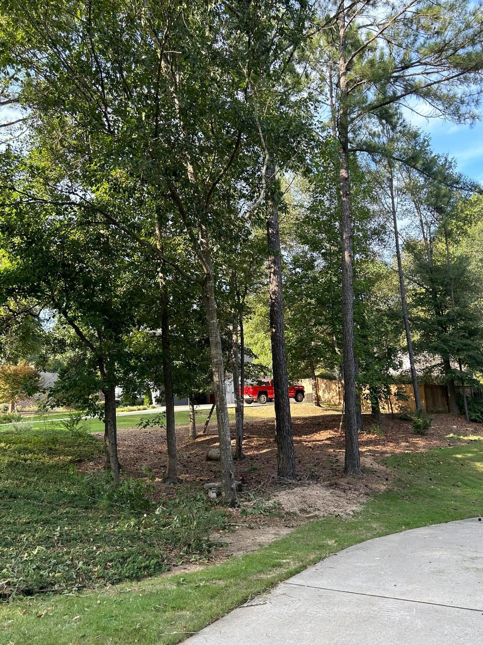 A red truck is parked in the driveway next to a row of trees.