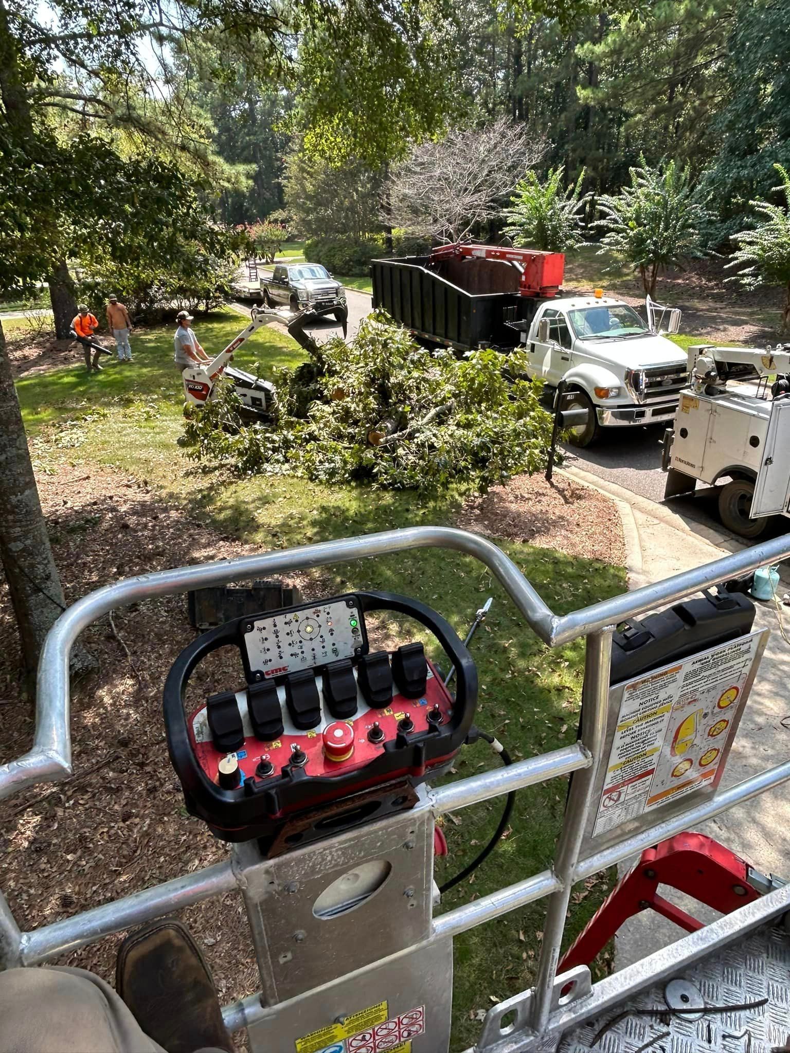 A man is sitting on a ladder in a tree trimming machine.