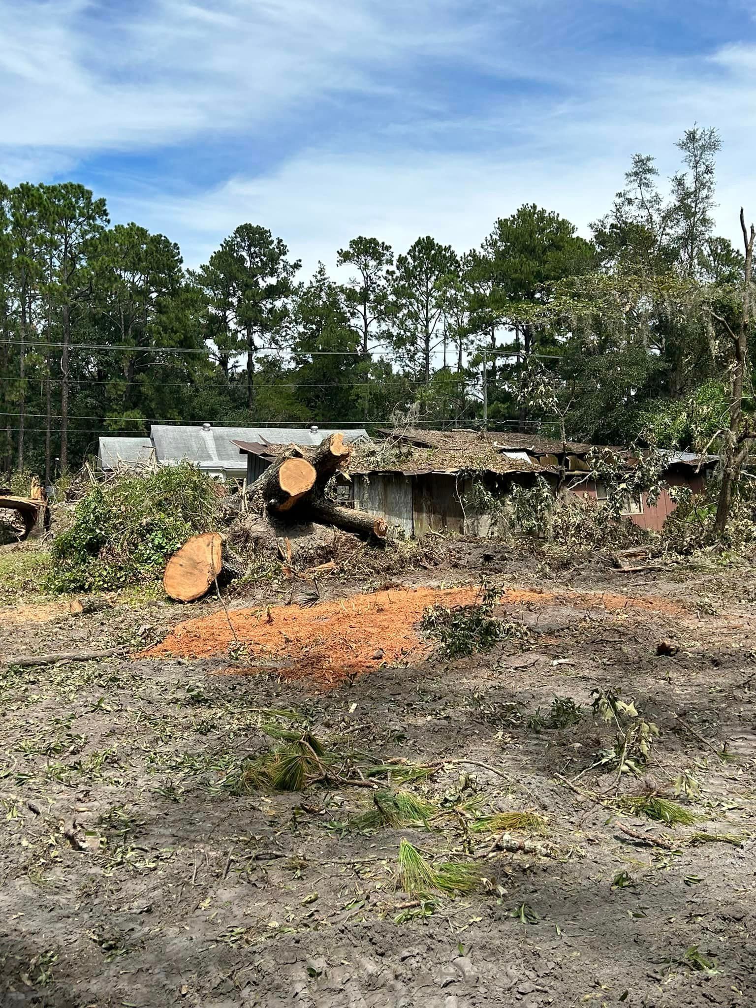 A large tree stump is sitting in the middle of a dirt field.