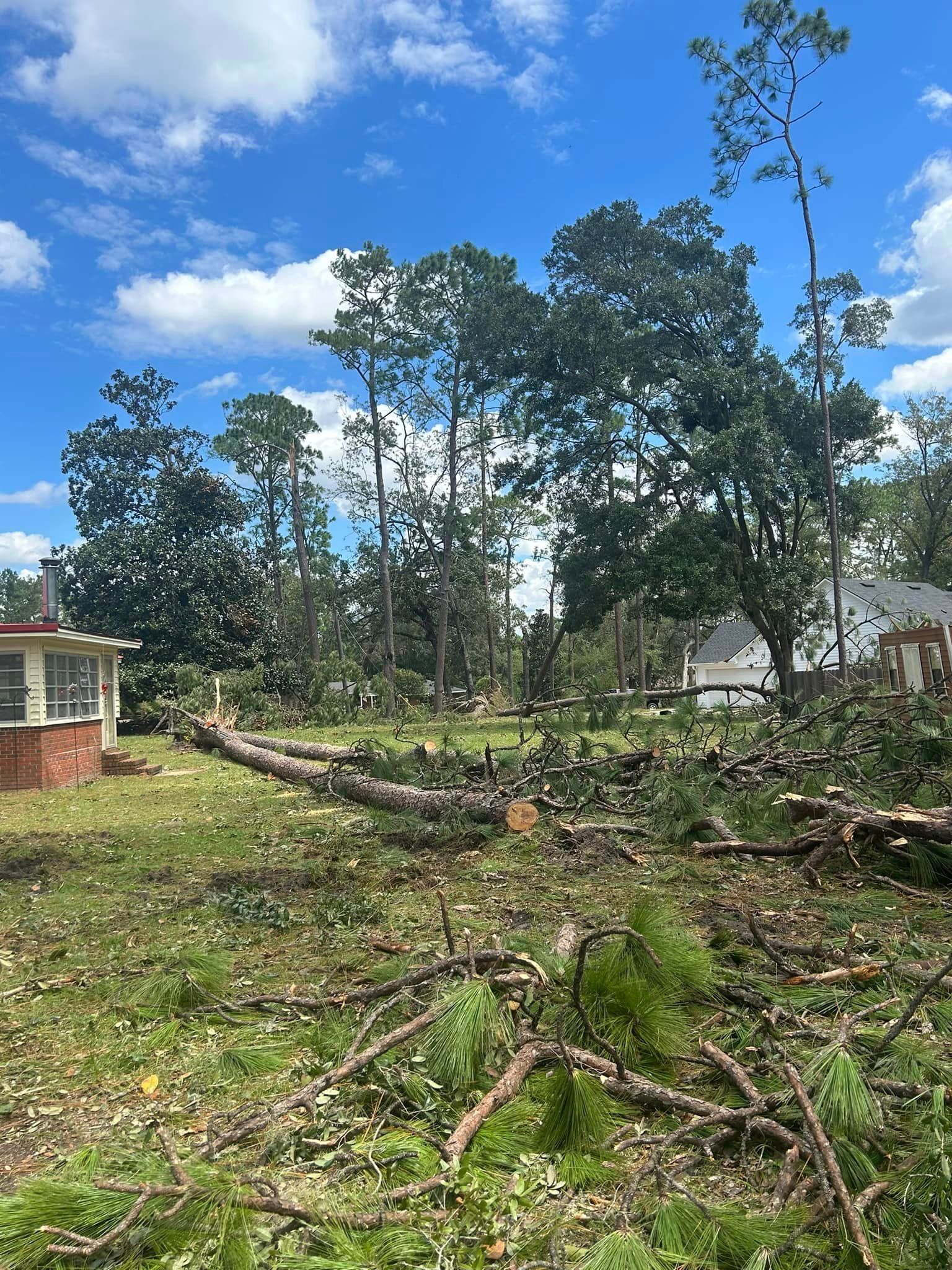 A lot of fallen trees in a yard in front of a house.